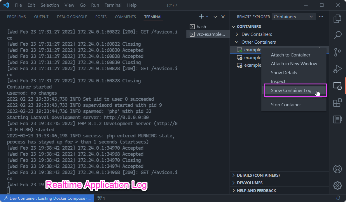 The Laravel application container logs in VS Code