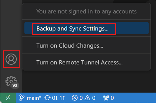 Turn on Settings Sync command in the Accounts Activity Bar menu