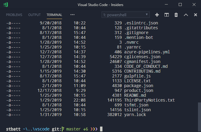 Terminal only window