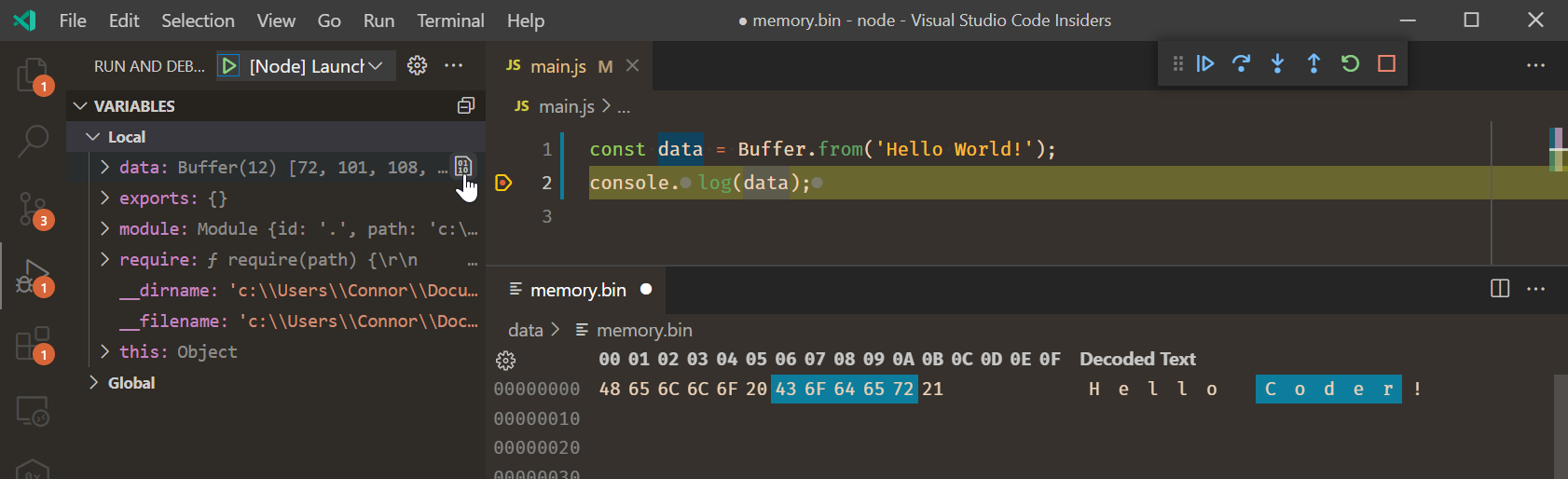 Binary data shown for a variable during a debug session