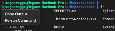 Command decoration context menu showing Re-run Command and Copy Output actions