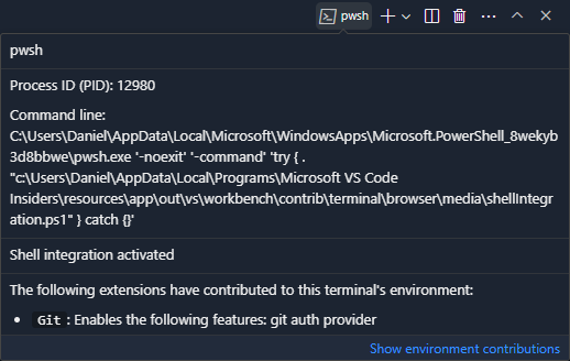 Hovering the inline terminal tab will show information about the terminal